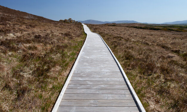 Conservation in Ballycroy National Park in the West of Ireland